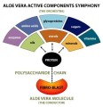 A Symphony of Healthful Benefits